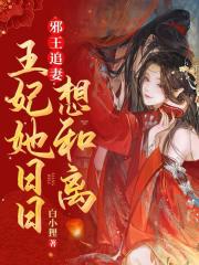 邪王追妻,王妃她日日想和离