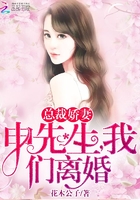 总裁娇妻:申先生,我们离婚