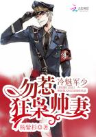 冷魅军少:勿惹狂枭帅妻