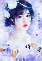 厉少的甜美小娇妻