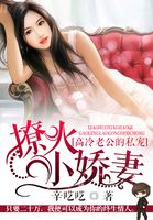 高冷老公的私宠:撩火小娇妻