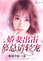 娇妻出击:慕总请轻宠