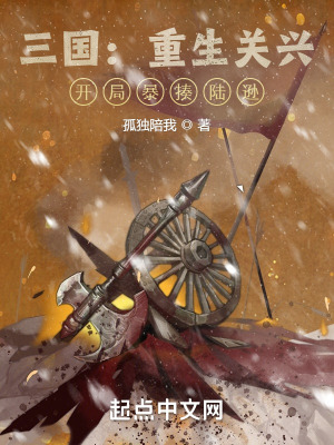 三国:重生关兴,开局暴揍陆逊